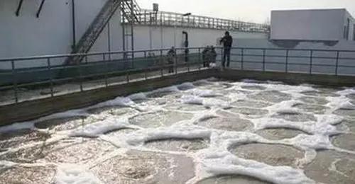 桑尼新技術（shù）在皮革、電泳塗裝行業的應用