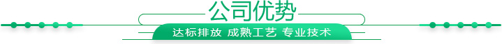 自電解反應器廠家優勢